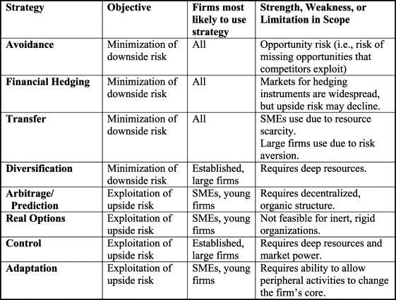 Sample risk analysis of a business plan